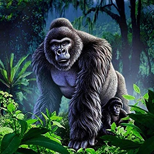 YHX926 Diamond Painting,Gorille des forêts,5D Broderie Diamant kit Complet,DIY Perle Diamant à Coller Tableau Peinture,Canevas Point de Croix Kits pour la Deco Chambre 30x40cm