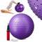 Hop-Sport Ballon Fitness 65 cm, Ballon de Gymnastique avec Pompe Incluse, Balle d’Exercices HS-065GB Robuste et antidérapant pour Yoga, Violet