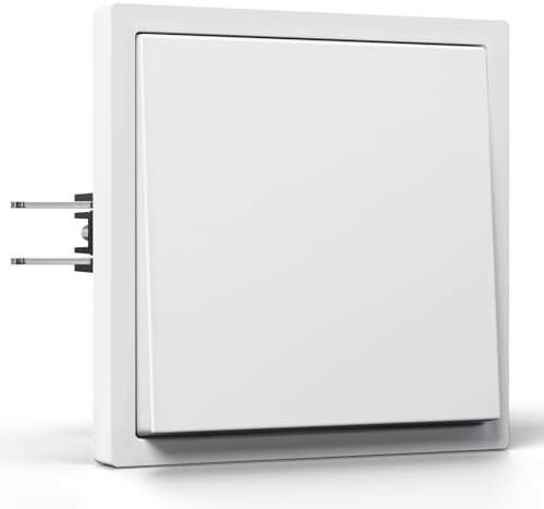 BSEED Interruptor Pared 1 Gang 2 Vías, Interruptor Doble con Marco de PC, Conmutador Interruptores Pared con Abrazadera de Cable y Garra para Cable, Interruptores Doble Blanco 80x80cm