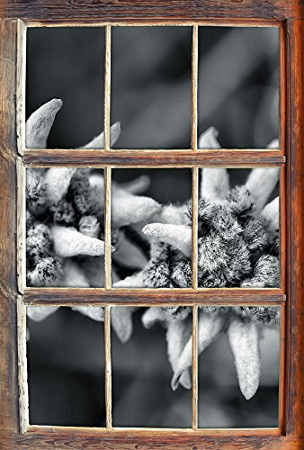Stil.Zeit Monocrome, Weißes Edelweiß Fenster im 3D-Look, Wand- oder Türaufkleber Format: 92x62cm, Wandsticker, Wandtattoo, Wanddekoration