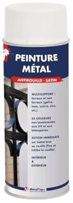 Metaltop - Peinture Metal - Gris argent - RAL 7001 - Bombe 400mL