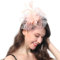 Ladiery Damen Fascinators Hut für Tea Party Mesh Blume Feder Perlen Kentucky Derby Hüte mit Stirnband und Clip für Mädchen