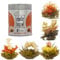 The Exotic Teapot – Flowering Tea Sampler Tin, 5 Assorted Flower Blooms, Jasmine, Fruity Flavours