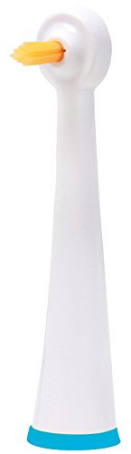edel + white Bürstenköpfe Single Clean SG2S