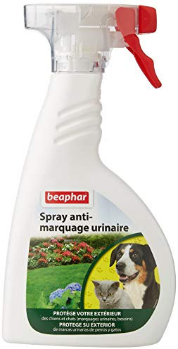 BEAPHAR – Spray anti-marquage urinaire du chien & chat pour extérieur – Contre les comportements indésirables (marquage urinaire/besoins) – Protège votre extérieur (façade/terrasse/véhicules) – 400ml
