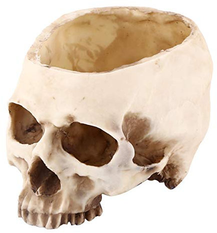 1 pieza de resina con diseño de cabeza de calavera, maceta de flores, decoración de contenedor, cuenco de dulces de calavera de Halloween para el hogar / oficina