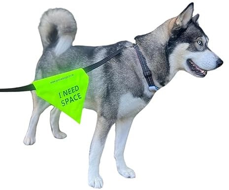 Yellow Dog UK I NEED SPACE dog lead flag for nervous anxious dogs that need space