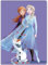 BrandMac BranMac Disney Frozen ELSA Anna Olaf Kuscheldecke 100x140cm