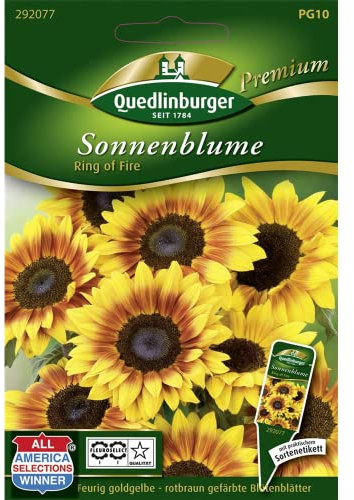 Sonnenblumen, Ring of fire