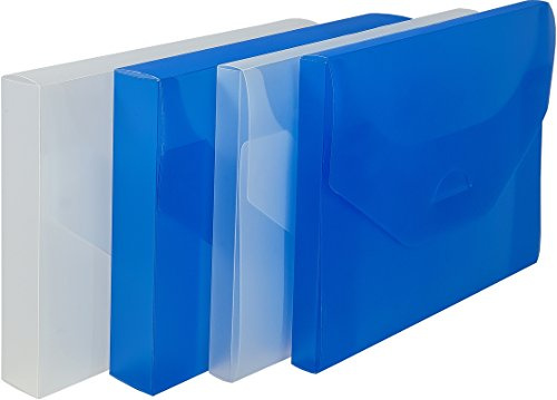 EICHNER 9218-00876 Sammelbox A4 2,0cm transparent