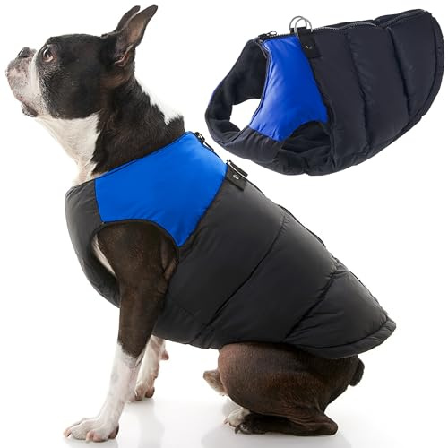 Gooby Padded Cold Weather Vest for Small Dogs with Safe Fur Guard Zipper Closure, X-Large, Blue