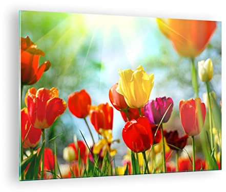 Bilder auf Glas Tulpe Blume Plantage Wiese Glasbild 70x50cm Wandbilder Dekoration Wohnzimmer Schlafzimmer Küche Deko Klein Wanddeko Bild im Glas Wand Kunstdruck Art Modern Wall Decor GAA70x50-2566