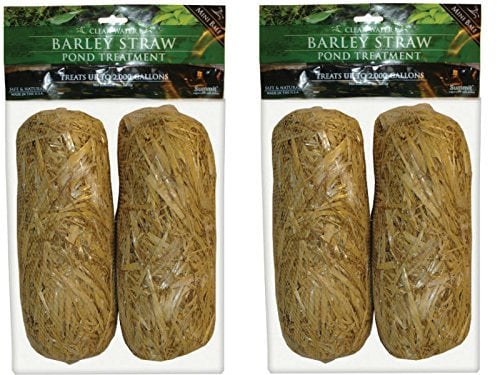 Summit Lot de 130 balles de Paille d'orge pour Eau Claire, 2 Paquets de 2 à 4 au Total