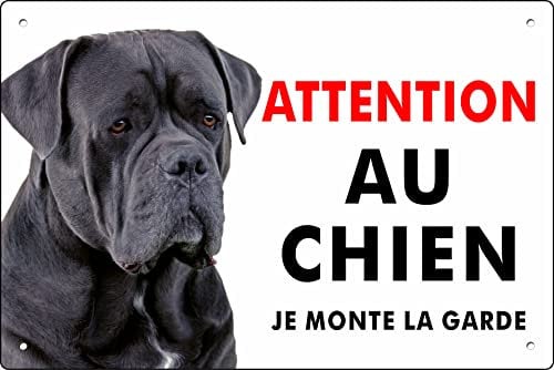 Pubblimania CHIEN CORSO attention au chien, Plaque panneau aluminium 3 mm (Cm 20x30)