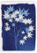 Clairefontaine 83502C - Notizheft Cyanotype, mit Fadenbindung A5 14,8x21 cm, 32 Blatt, liniert, Motive sortiert, 1 Stück