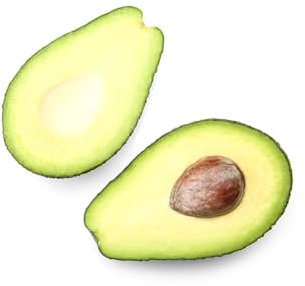 65 pcs avocado samen zum pflanzen, säulenobstbäume exotische früchte, avocado baum kaufen - Persea americana - obstbäume kaufen bio saatgut, seltene pflanzen saatgut alte sorten