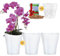 Garten lux 3er-Set Orchideentöpfe Weiß Ø16cm 2L mit 3er-Set Orchideentöpfe mit Drainagelöchen Ø14cm 1L aus Kunststoff und Tongranulat 2,5L für den Innenbereich