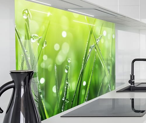 timalo Küchenrückwand Glasoptik | 60 x 60 cm Grünes Gras Wiese Tautropfen Natur | Acryl Glas 2mm | Spritzschutz Wand für Herd, Küche Glasrückwand Acrylglas Wandpaneele Rückwandschutz Platte