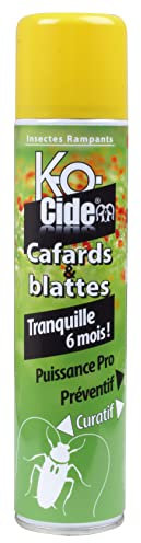 K-OCIDE - Laque Anti-Cafards & Blattes - Anti-Rampants - Foudroyant - Dure 6 Mois - 300 ml