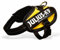 Julius K9 16IDC-SN-B1 IDC-Powergeschirr mit Logofeld, Baby 1, sun