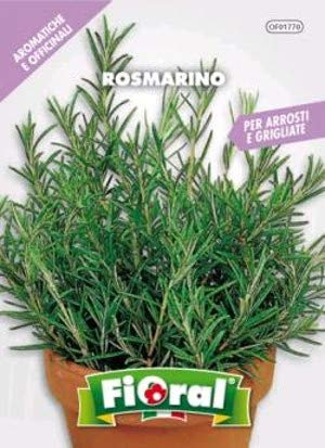 Sementi di piante aromatiche e officinali in bustina ad uso amatoriale (ROSMARINO)