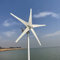 Genway 12V 24V Windkraftanlage 600W Windturbine Windgenerator mit MPPT Laderegler 5 Blätter Windrad Stromerzeugung für Heimat Marine Garten
