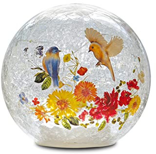 LED Licht, Crackle LED Nachtlicht, Blumen, Vogel und Grasmuster, Globus Glas Tischlampe, Orb Cardinal Nachtlicht für Außendekorationen, Gehwege, Terrassen, Höfe, Rasen, Schlafzimmer – 1 Packung