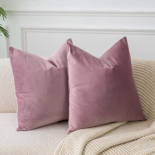 JUSPURBET Pink-Lila Samt-Kissenbezüge 55cmx55cm 2er-Set für Wohnzimmer Couch Sofa Schlafzimmer Dekorative Quadratische Feste Weiche Kissenhüllen mit unsichtbarem Reißverschluss