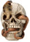 Pacific Giftware Einzigartige Totenkopf-Figur mit Kobra, Kunststein 11,5 cm - Totenschädel Schlange Gothic Deko