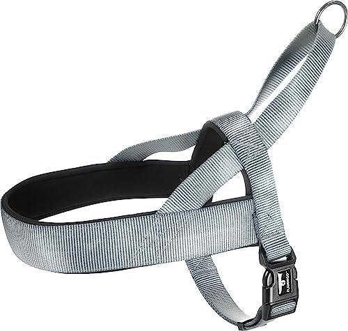 Norweger-Geschirr Abbi GRAU L 55-70CM 25MM