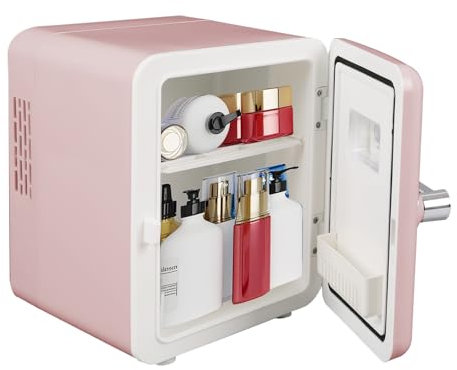TWSOUL Mini Tragbarer Kühlschrank, 4L Fridge mit Kühl Heizfunktion, skincare fridge für Auto, Schlafzimmer, 12V am Zigarettenanzünder und 220V Steckdose (A)