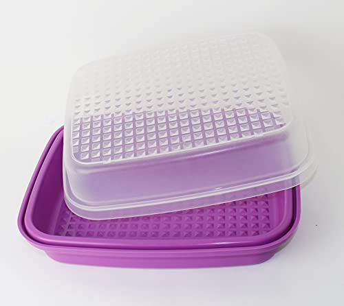 Tupperware - Nevera (1,9 L)