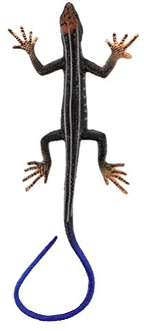 Vaguelly Kunststoff-Eidechsenfigur Reptilien-Geko-Spielzeug Eidechsen-Actionfiguren Realistische Chamäleon-Tiermodelle Pädagogisches Trickspielzeug Für Die Sammlung Wissenschaftliche