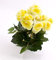artplants.de Künstliche Mini Begonie Ivana, 27 Blätter, 9 Blüten, gelb, 20cm, Ø 20cm - Künstliche Blumen - Textilblumen gelb