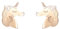 Ohrringe Einhorn – Gelbgold – Kinder