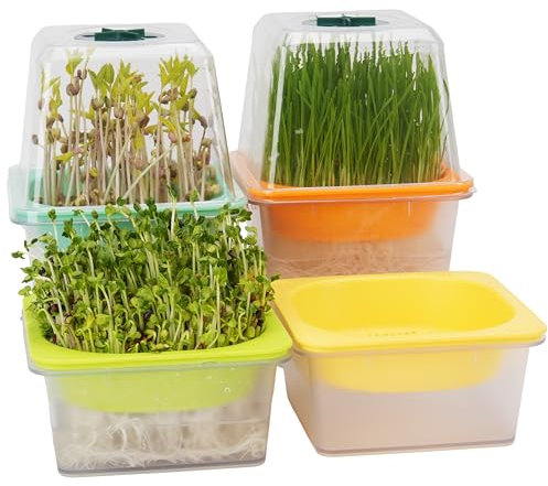 Microgreen Growing Trays with Lid, LUVCSOY Sprouting Tray with Humidity Dome, 3 mm Large Mesh Holes, BPA Free, Seed Sprouter Kit for Growing Large Seeds, Like Sunflower, Mung Beans, Green Pea - 4 Pack