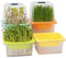 LUVCOSY Sprossen Anzuchtset mit 4 Keimschalen und Deckel - Keimschalen Für Sprossen - Anzucht von Mungbohnen, Alfalfa, Weizengras - Sprossen Anzuchtset für einfache Keimung zuhause- Clear
