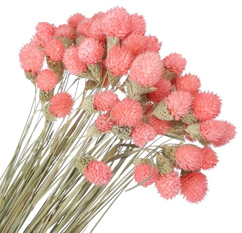 PATIKIL 16/40cm Fleurs Séchées pour Vase, 60pcs Mini Boules de Pin Fleur Bouquet Naturel en Vrac, Fleurs Artificielles Automne Décoration pour Maison Mariage Artisanat DIY, Rose