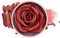 Frudchi Du Visage, Blush Rouge Construible Léger Longue Durable De Rose 3d, Blush De Fleurs Pour Les Filles Des Femmes Fête De La Collection D'événements
