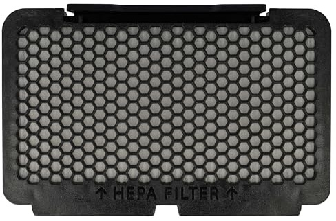 vhbw Filtre compatible avec Moulinex RO8359EA/410 | RO8366EA/410, RO8370EA/410, TW8356HA/410 aspirateur - Filtre HEPA contre les allergies