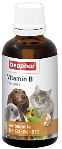 BEAPHAR - Vitamin B Komplex Für Hunde, Katzen, Nager, Vögel - Vitamin-Aufbaukur B1, B2, B6, B12 - Unterstützt Die Abwehrkräfte - Appetitanregend - Steigert Das Wohlbefinden - 50 ml