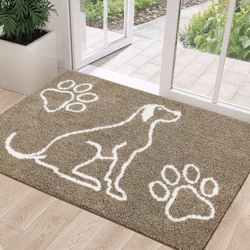 Pauwer Groß Schmutzfangmatte 80 x 120 cm, rutschfeste Fußmatte für Innen und Außen, Langlebige Waschbar Haustür Dünn Türmatte, Absorbierende Türvorleger für Flur Eingang Haustier Küche