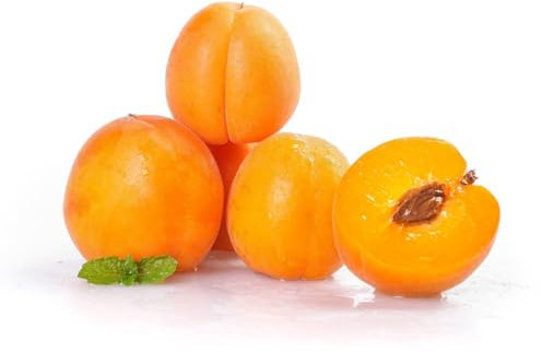 25 Piezas Semillas de Albaricoque - Plantas Decorativas Albaricoqueros Exóticos, Semillas de Frutas Semillas Orgánicas en Espaldera Plantas de Balcón de Frutas Árboles Frutales Enanos