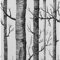 Yangfix Weiß und Schwarz Selbstklebend Tapete Birke Baum Effekt Wandaufkleber Kontaktpapier Klebrige Rückseite Plastik Vinyl-Folie Rolle für Küche Badezimmer 44.5x1000cm