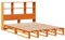 vidaXL Massivholzbett, Bett mit Bücherregal ohne Matratze, Holzbett Bettgestell mit Lattenrost, Palettenbett Doppelbett für Schlafzimmer, Wachsbraun 120x200cm