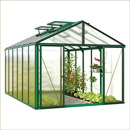 GFP Serre Asteria 24 Light 311x460 cm avec Cadre de Fondation intégré Panneaux Double paroi 12 mm, Couleur Vert Mousse