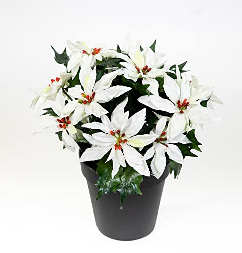 Seidenblumen Roß Weihnachtsstern 22cm weiß mit 14 Blüten im Topf AR künstliche Pflanze Blumen Kunstpflanzen Kunstblumen Poinsettie