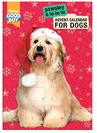 Pawsley Hunde-Adventskalender (12 Stück)