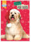 Pawsley Hunde-Adventskalender (12 Stück)