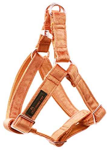 ARING PET Hundehalfter Geschirr, Samt kein Ziehen Hundehalfter Geschirr, einstellbare schwere Hundegeschirr für kleine mittlere große Hunde